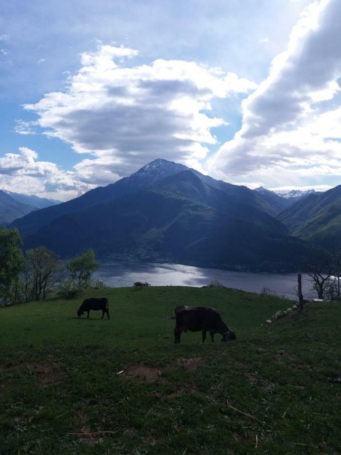 Agriturismo Piccolo Paradiso Pianello Del Lario Exterior foto